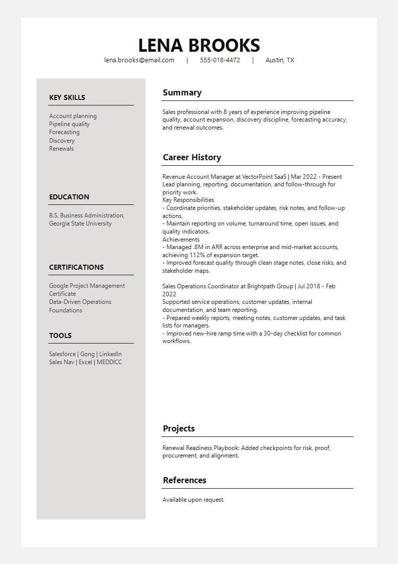 Sales Frosted Panel Resume preview